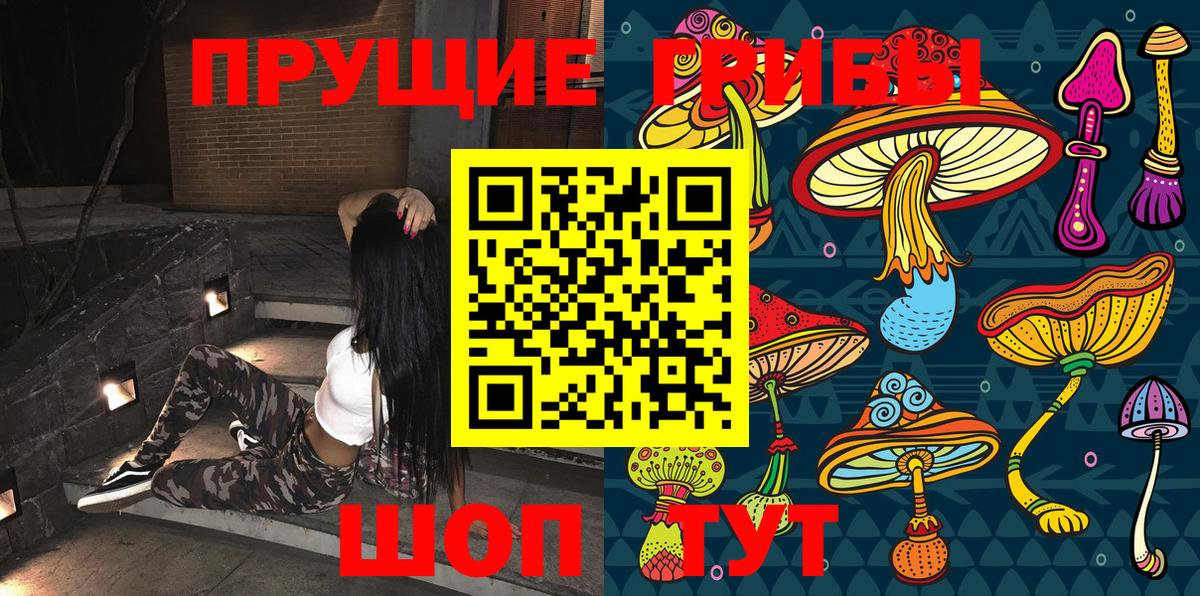 Псилоцибиновые грибы Psilocybine cubensis Жуковский
