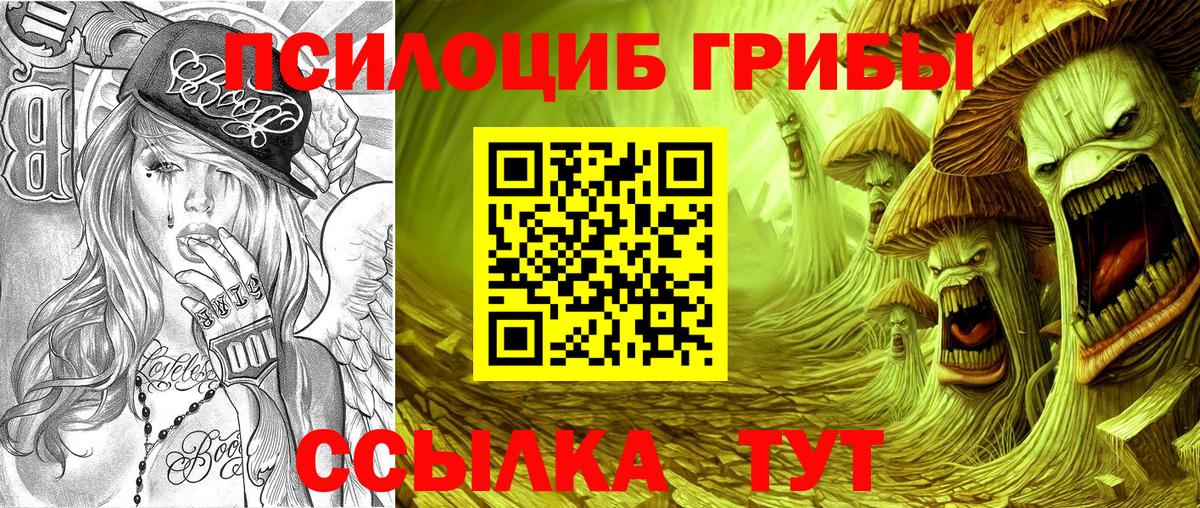 Жуковский  Псилоцибиновые грибы GOLDEN TEACHER  Вход с VPN 